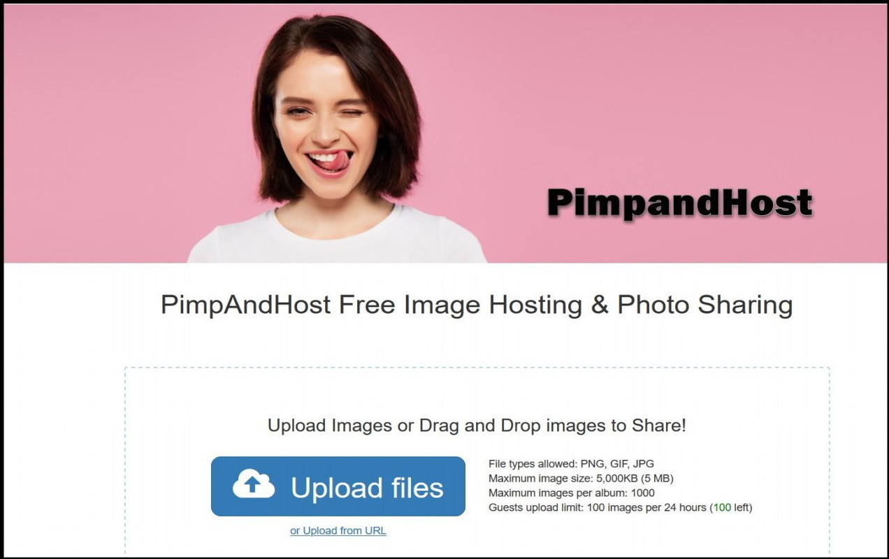 What is PimpandHost & is It available To Access?